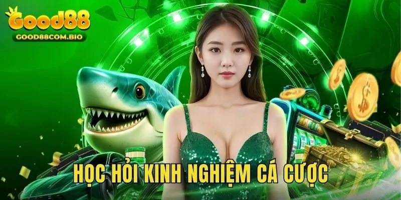 Học thêm nhiều bí quyết, mẹo hay khi tham gia cá cược