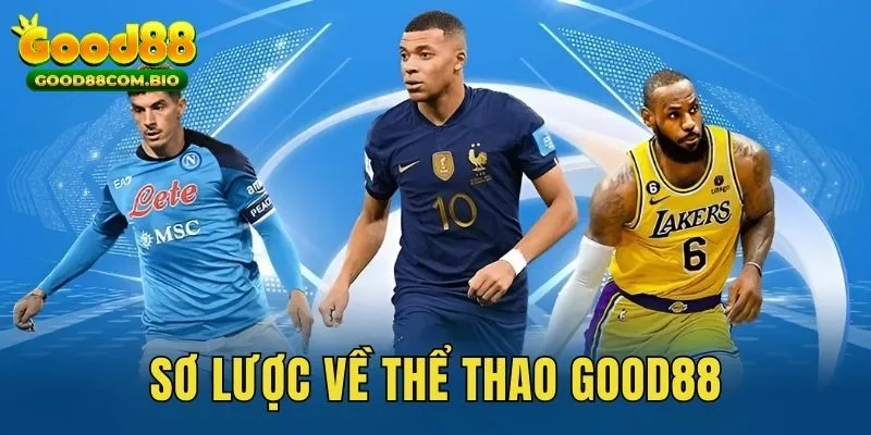 Tìm hiểu sơ lược về sân chơi sports online đầy cuốn hút